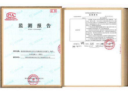 陕西省商南县东正化工有限责任公司2024年废气、噪声、污水监测报告(一季度)